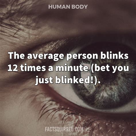The Average Person Blinks Around 10 000 Times a Day
